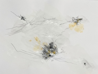 beatrice-lemercier - Peinture