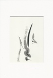 beatrice-lemercier - Cartes