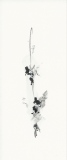 beatrice-lemercier - Cartes