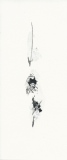beatrice-lemercier - Cartes