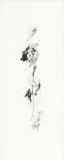 beatrice-lemercier - Cartes