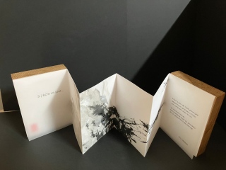 beatrice-lemercier - Livres Singuliers